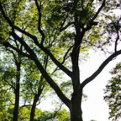 Curso de Astrologia Nanda e a Lua 21 Curso de Astrologia Nanda e a Lua